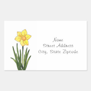 Watercolor, Pen & Ink Daffodil  Label