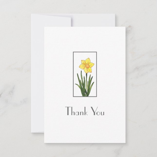 Watercolor, Pen & Ink Daffodil  Thank You Card (Front)