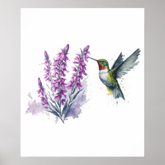 Watercolor Penstemon Flower and Hummingbird Poster