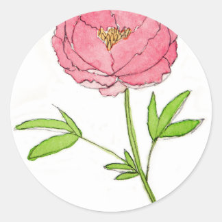 Watercolor Peony Classic Round Sticker