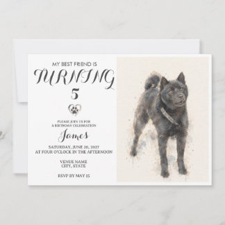 Watercolor Pet Birthday Invitation