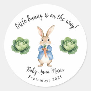 Watercolor Peter Rabbit Garden Cabbage Baby Shower Classic Round Sticker