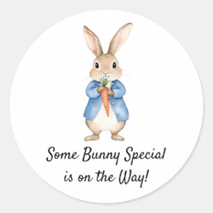 Watercolor Peter Rabbit Garden Party Baby Shower Classic Round Sticker