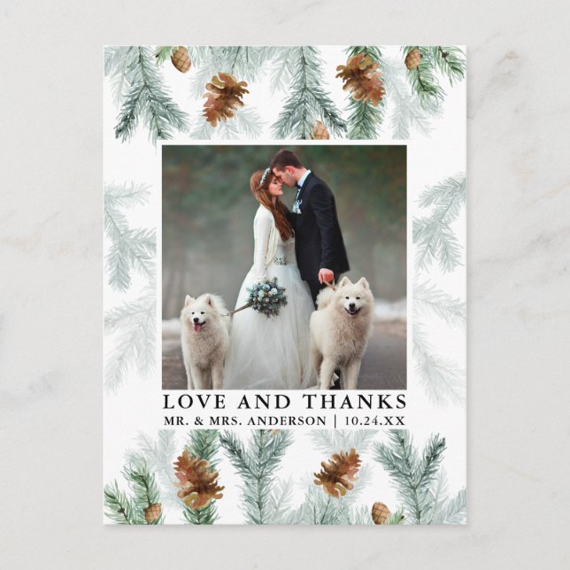 Watercolor Pine Cones Love Thanks Wedding Photo Postcard (Front)