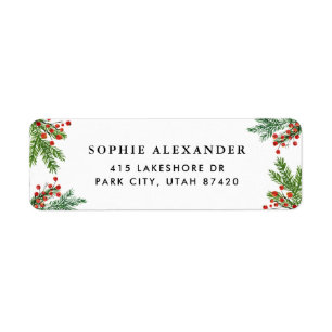 Watercolor Pine Needles and Holly Borders Holiday