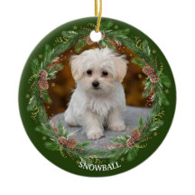 Watercolor Pinecone Wreath Pet Photo