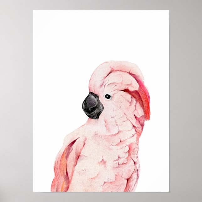 Watercolor Pink Cockatoo Moluccan  Poster (Front)