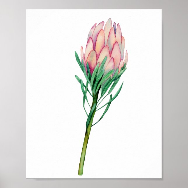 Watercolor Pink Floral Art Poster (Front)