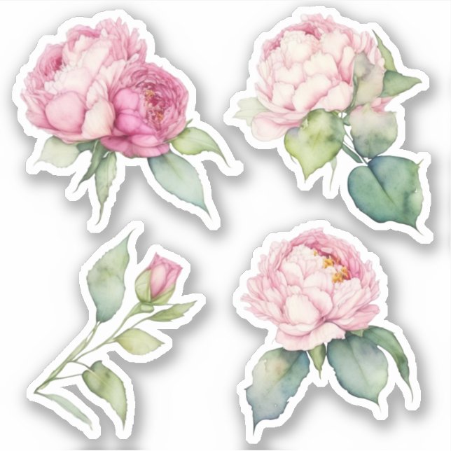 Watercolor pink florals pink peonies pink roses (Front)