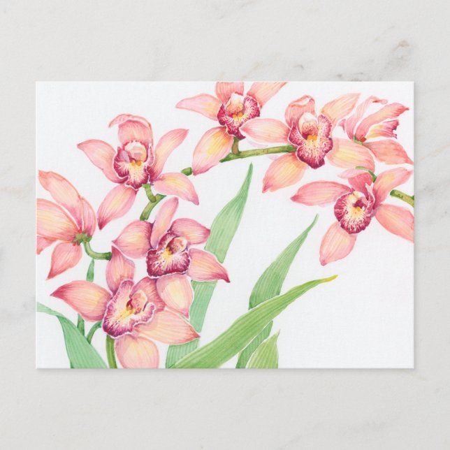 Watercolor Pink Flowers Postcard (Front)