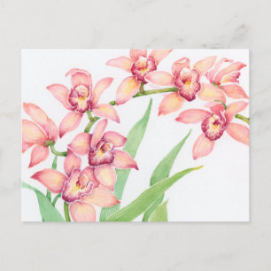 Watercolor Pink Flowers Postcard