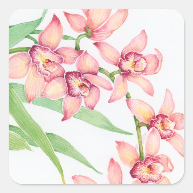 Watercolor Pink Flowers Square Sticker (Front)