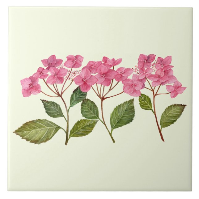 Watercolor Pink Hydrangea Lacecaps Pattern Tile (Front)