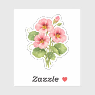 Watercolor Pink Nasturtium Flowers