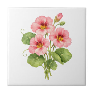 Watercolor Pink Nasturtium Flowers  Tile