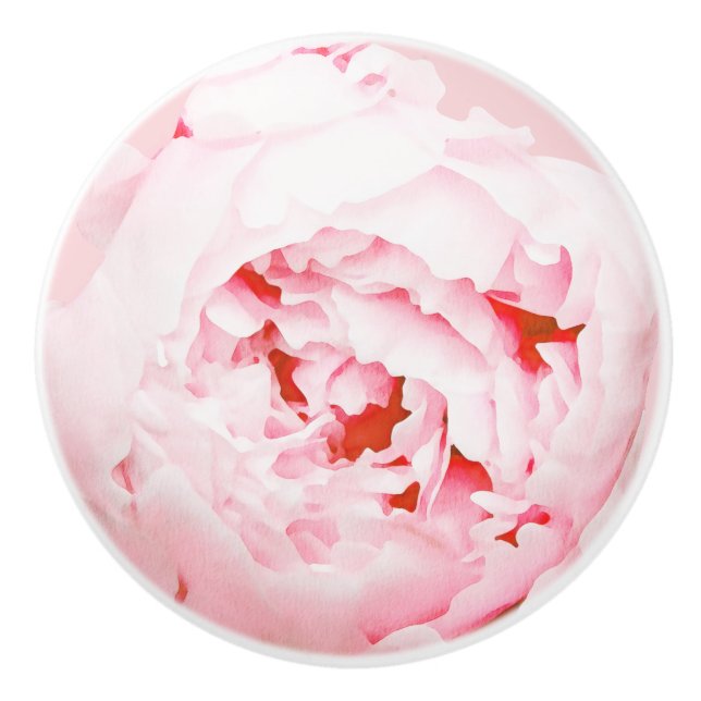 Watercolor Pink Peony Ceramic Knob (Front)