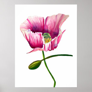 Watercolor pink poppy pretty flower poster