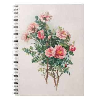 Watercolor Pink Roses Notebook