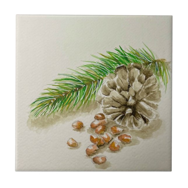 Watercolor Pinõn Nuts Pinecone New Mexico Tile (Front)