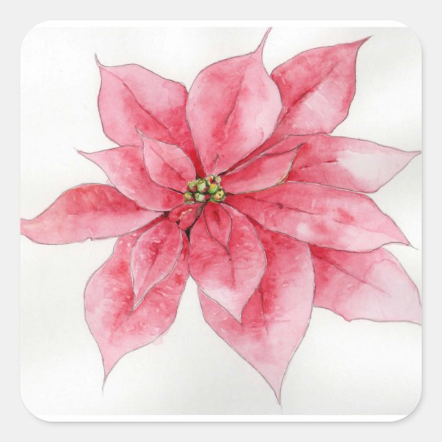 Watercolor Poinsettia Stickers (Front)