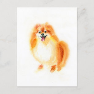 Watercolor Pomeranian dog. Postcard