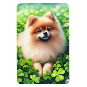 Watercolor Pomeranian Green Shamrocks Flexible Magnet