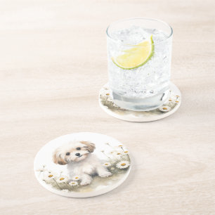 Watercolor Poodle In Daisies Coaster