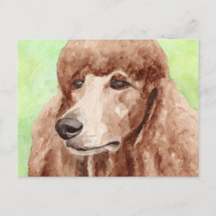 Watercolor Poodle Postcard