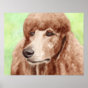 Watercolor Poodle Poster
