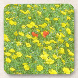 Watercolor poppies coaster