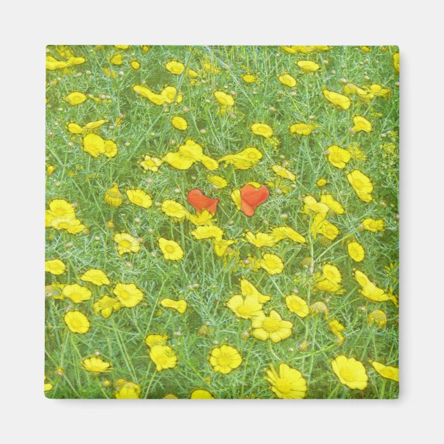 Watercolor poppies magnet (Front)