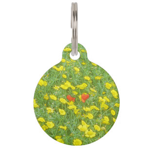 Watercolor poppies pet tag