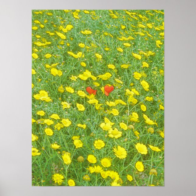 Watercolor poppies poster (Front)