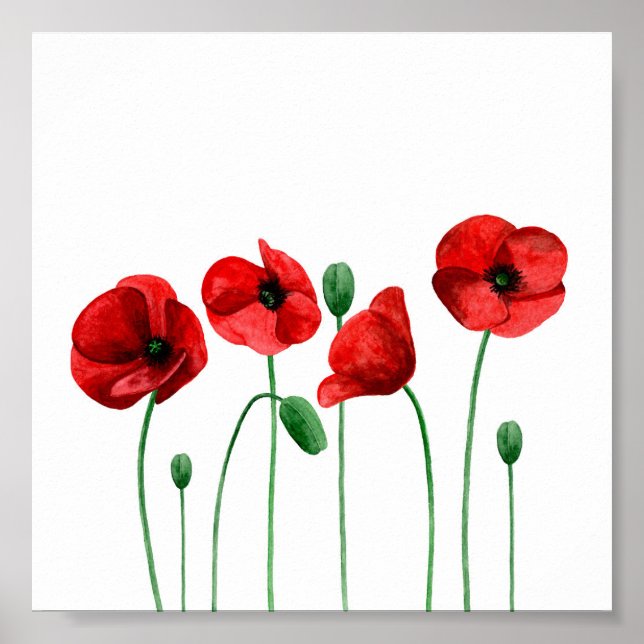 Watercolor poppies print Red flowers Botanical art (Front)