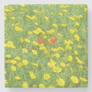 Watercolor poppies stone coaster