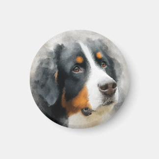 Watercolor portrait Bernese mountain dog Magnet