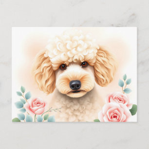 Watercolor Portrait of a Fluffy Beige Poodle Postcard