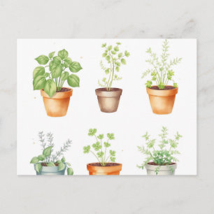 Watercolor Potted Herbs on Cream Background Postcard
