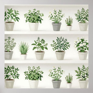 Watercolor Potted Herbs Shelf Pattern Poster
