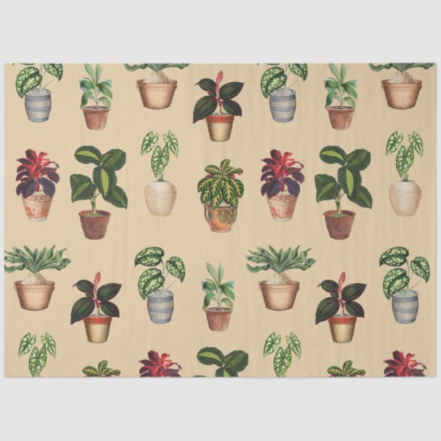 Watercolor Potted Plants Terracotta Pots Pattern  Tissue Paper (Front)