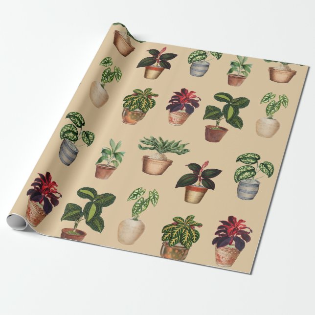 Watercolor Potted Plants Terracotta Pots Pattern  Wrapping Paper (Unrolled)