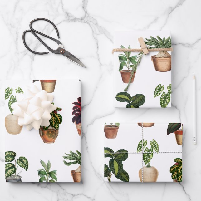 Watercolor Potted Plants Terracotta Pots Pattern  Wrapping Paper Sheet (Front)