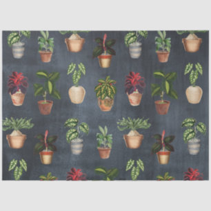 Watercolor Potted Plants Terracotta Pots Rustic Tissue Paper