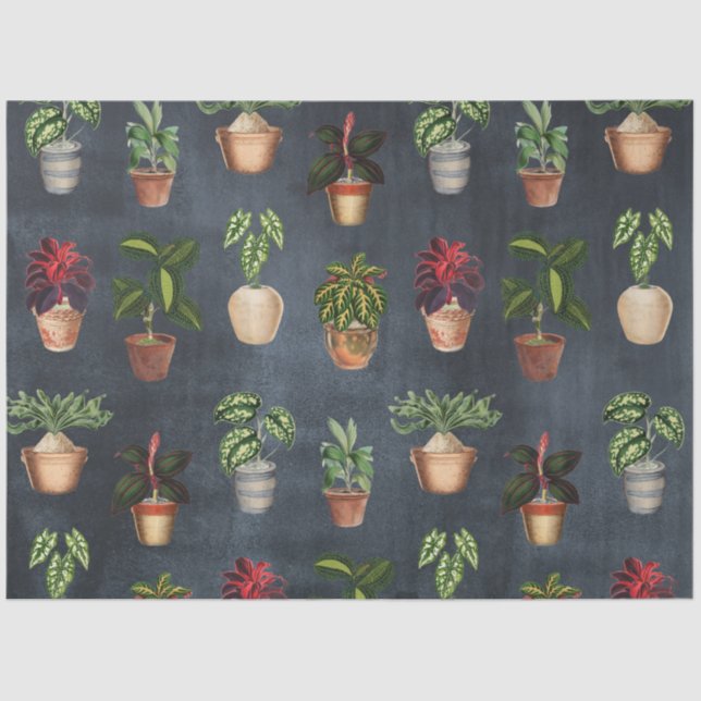 Watercolor Potted Plants Terracotta Pots Rustic Tissue Paper (Front)