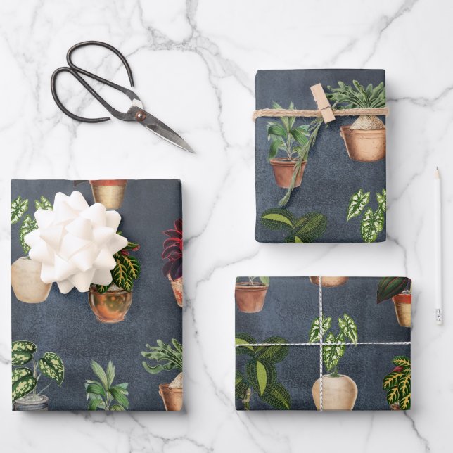 Watercolor Potted Plants Terracotta Pots Rustic Wrapping Paper Sheet (Front)