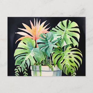 Watercolor Potted Succulents and Monstera Leaves  Postcard
