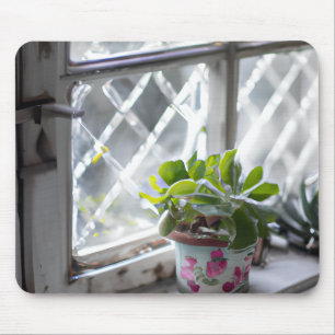 Watercolor Pretty Plant in the Window Mouse Mat
