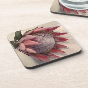 Watercolor Protea Coaster