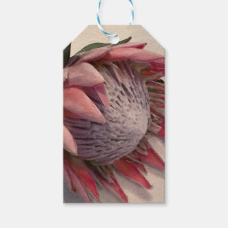 Watercolor Protea Gift Tags