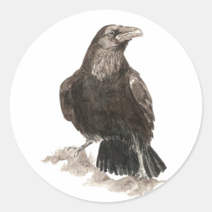 Watercolor Raven Bird Nature Art Classic Round Sticker